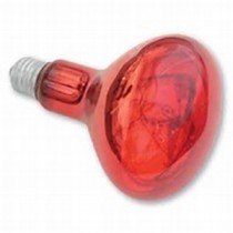 Infra Red & Specialist Lamps