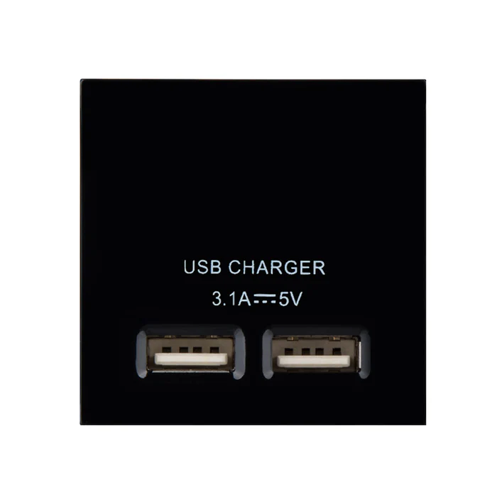 BG Euro Module USB Charger Black