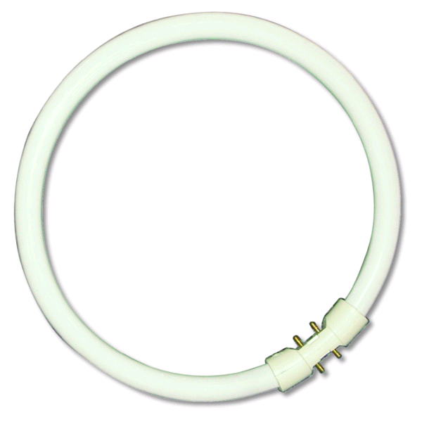 Bell T5 Circular 2GX13 Cap 40w Cool White