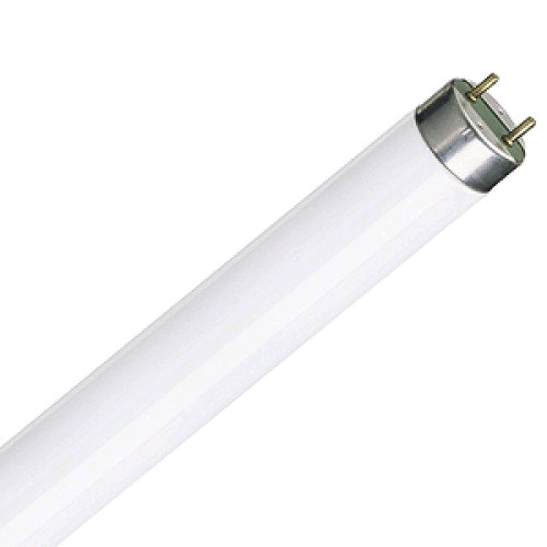Lamp Fluorescent 18in 15w T8 White 