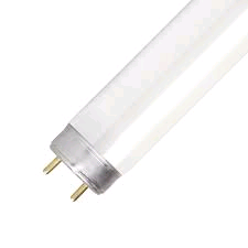 Lamp Fluorescent 2ft 18w T8 White 