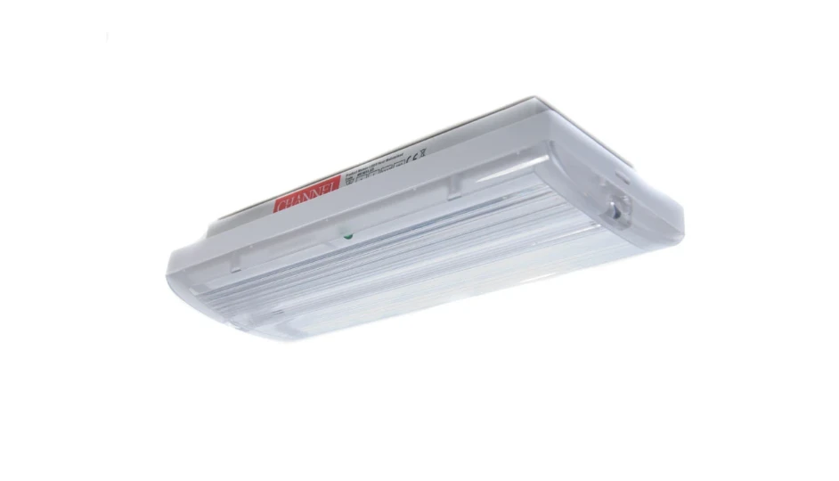 Channel Meteor IP65 LED Emergency Bulkheld