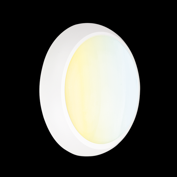 Aurora 2D 28w IP65 HF White Fitting 