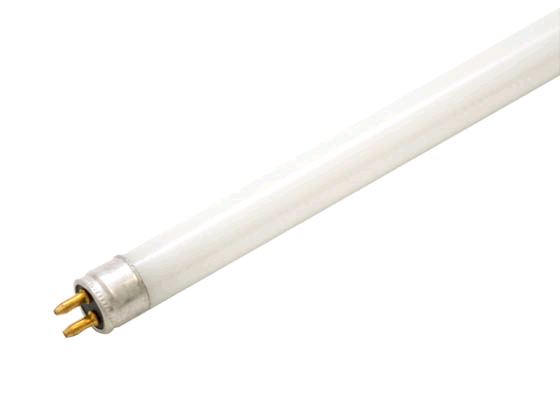 Lamp Fluorescent 12in 8W White T5 Tube 