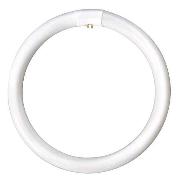 Lamp Fluorescent Circular 16in 40w Cool White